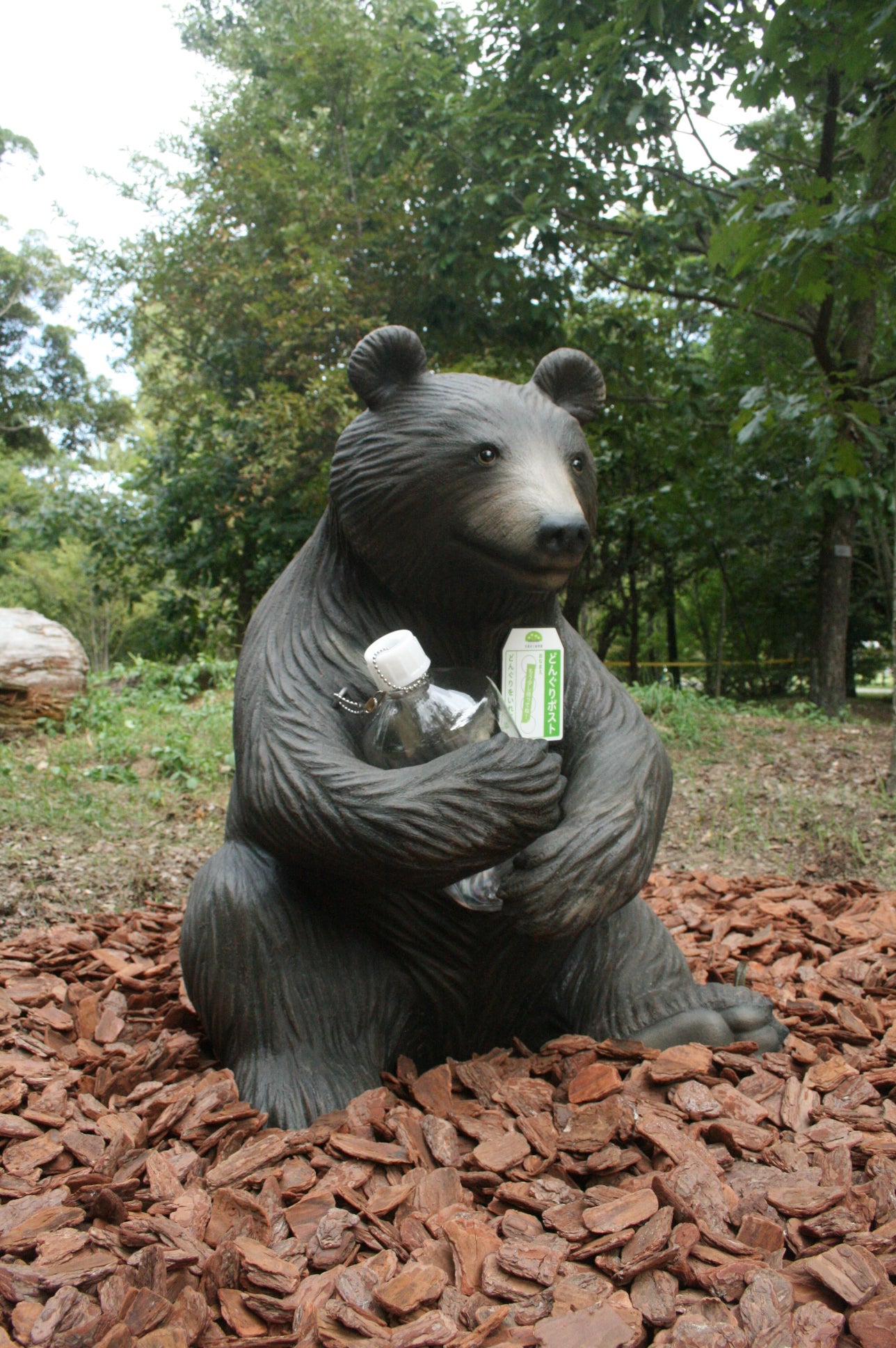 京都府立植物園 どんぐりの森「Dongreen Lab（どんぐりーんらぼ）」